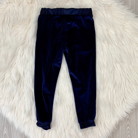 HUDSON Little Girl’s Blue Velour Joggers 4T - Picture 4 of 6
